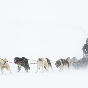 Meet your Posher, Martin